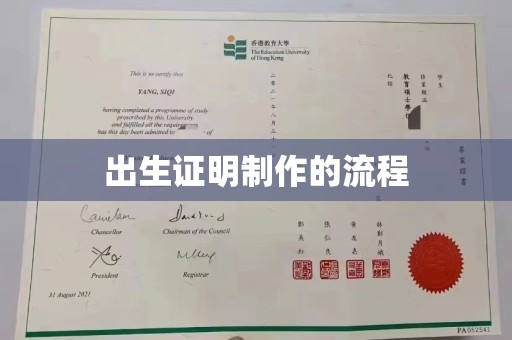丹棱出生证明制作的流程