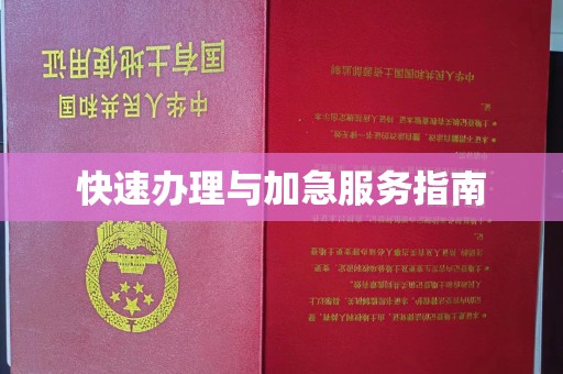 丹棱快速办理与加急服务指南