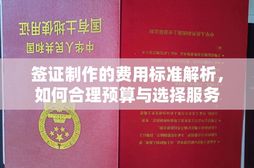 丹棱签证制作的费用标准解析，如何合理预算与选择服务